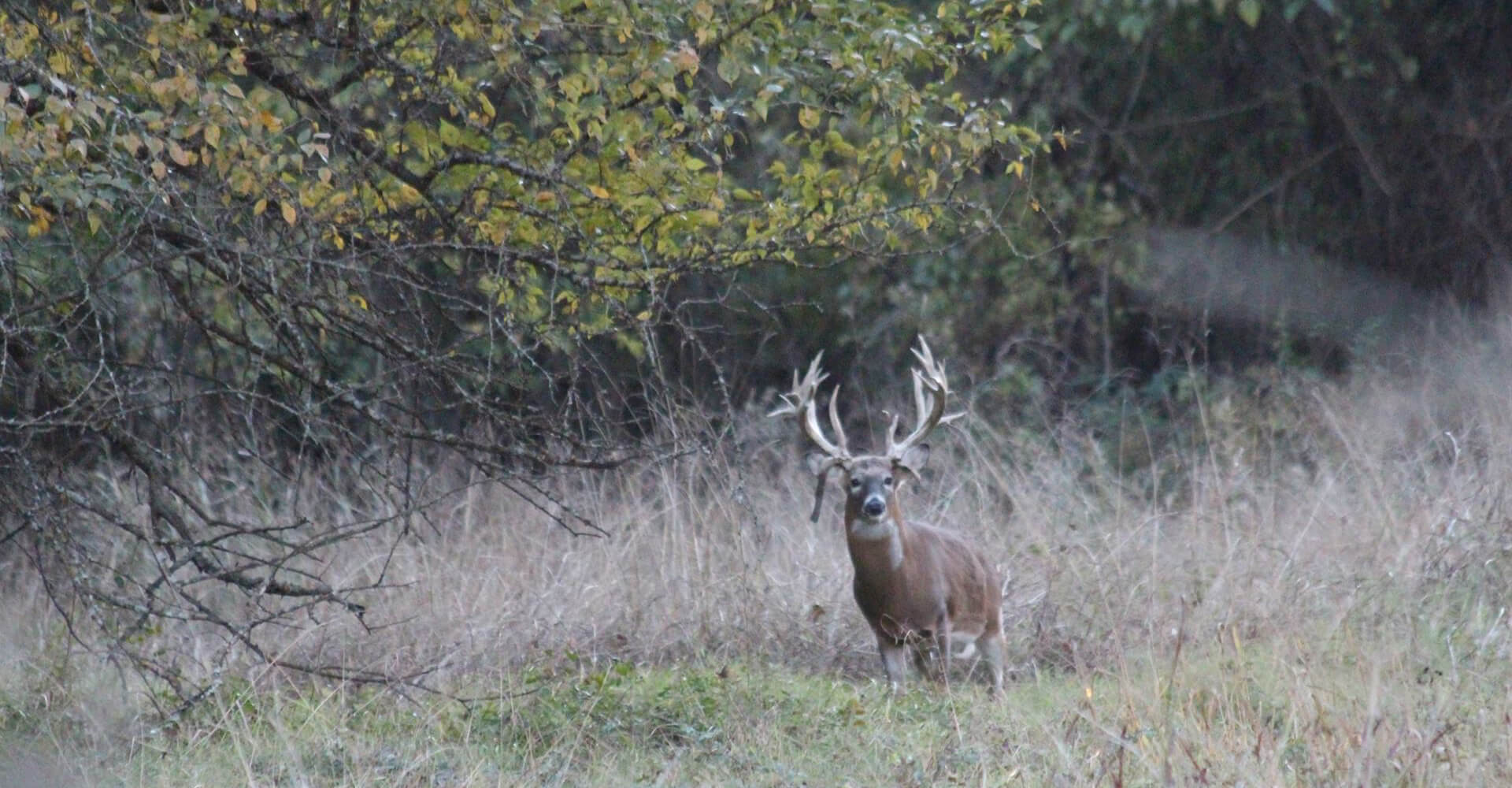 Trip Planner - Burks Whitetails Trip Planner - Burks Whitetails