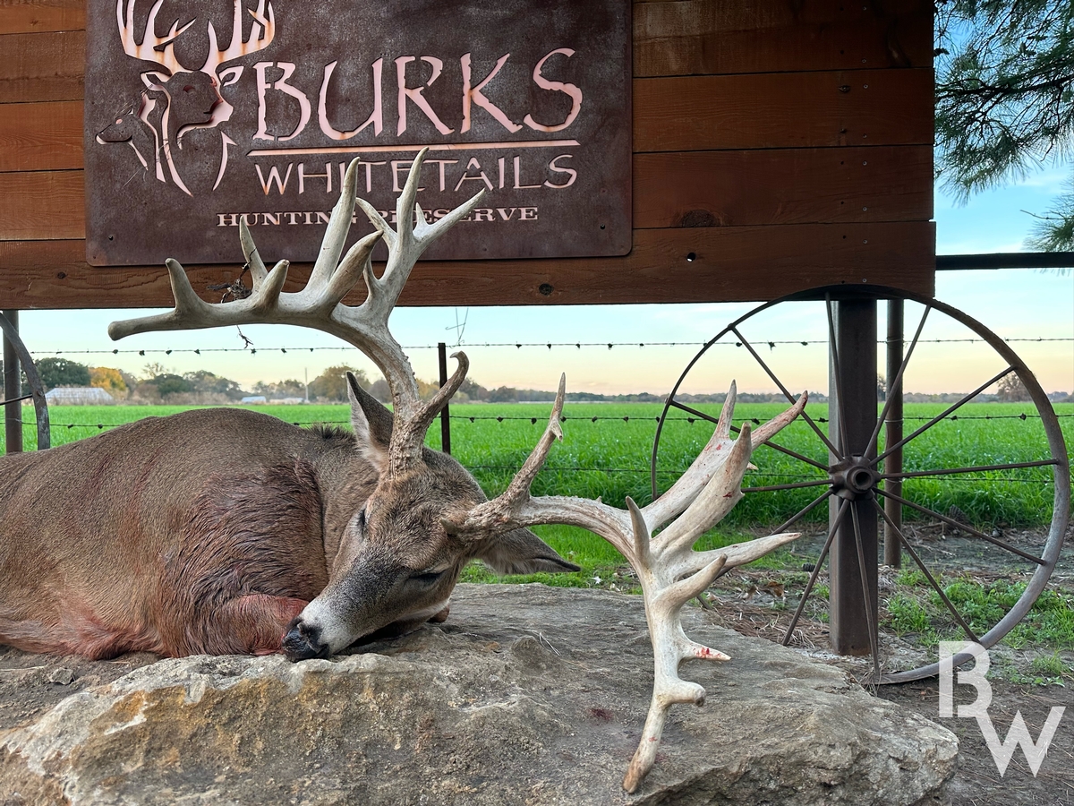 2024 Whitetail Packages