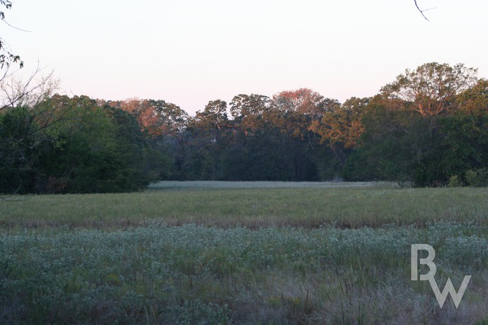 Around The Lodge